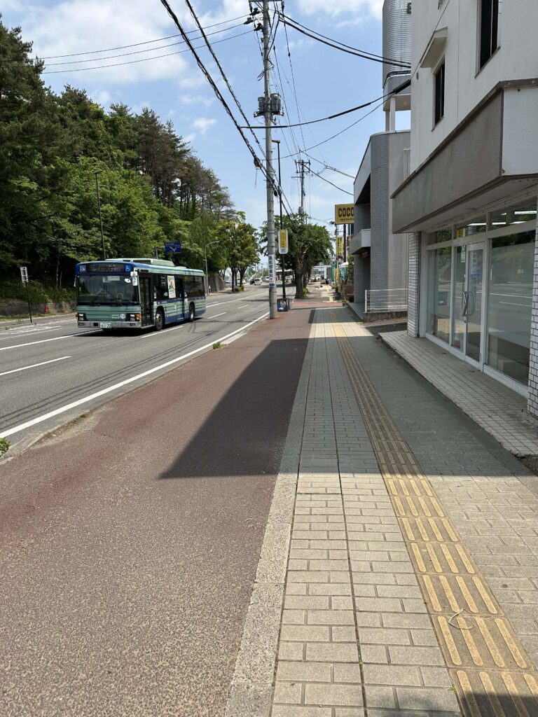 八木山動物公園駅から歩いているところ