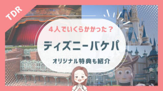 【2025年9月バケパ】いくらかかった？４歳２歳とディズニーリゾート２日間
